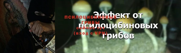 a pvp Абдулино