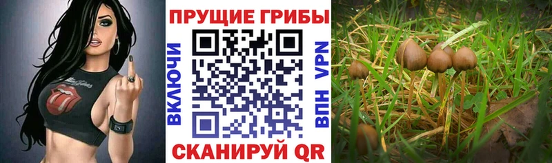 Псилоцибиновые грибы мухоморы  где купить   площадка Telegram  Стрежевой 
